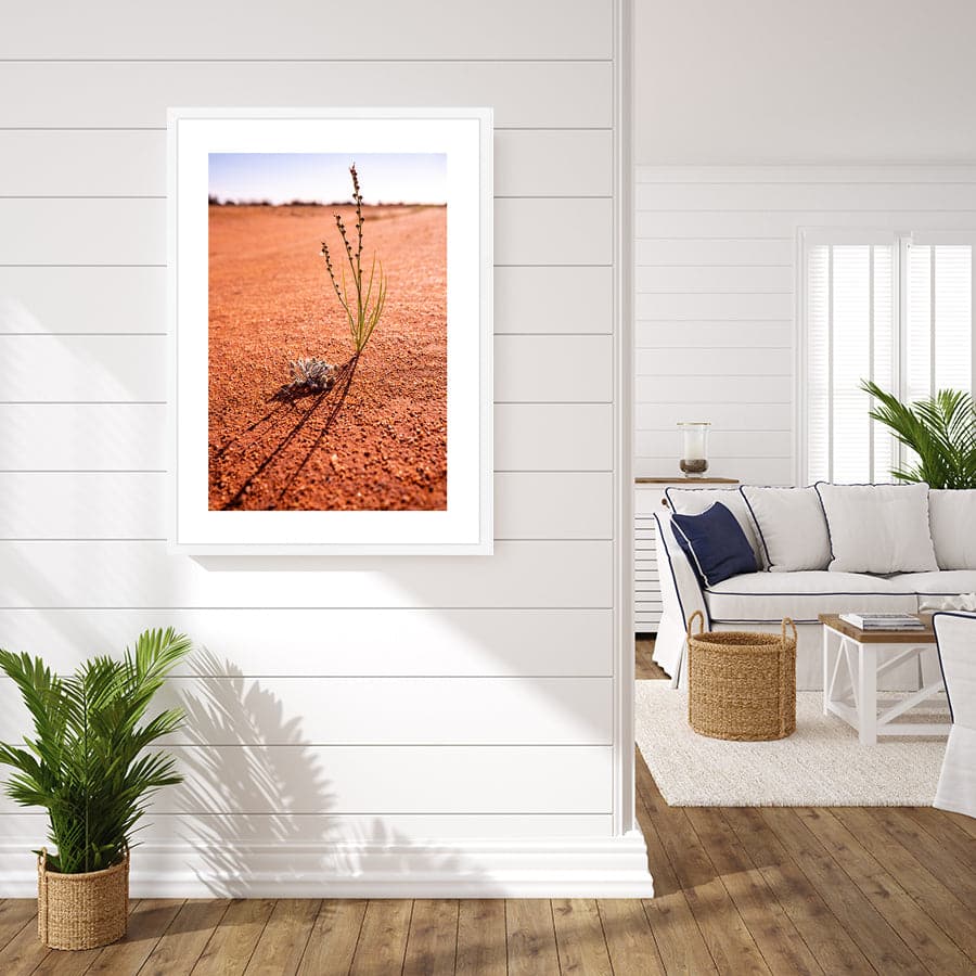 Desert Life by Stuart McAndrew