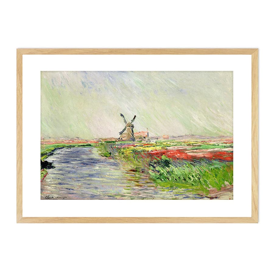 Tulip Field in Holland by Claude Monet