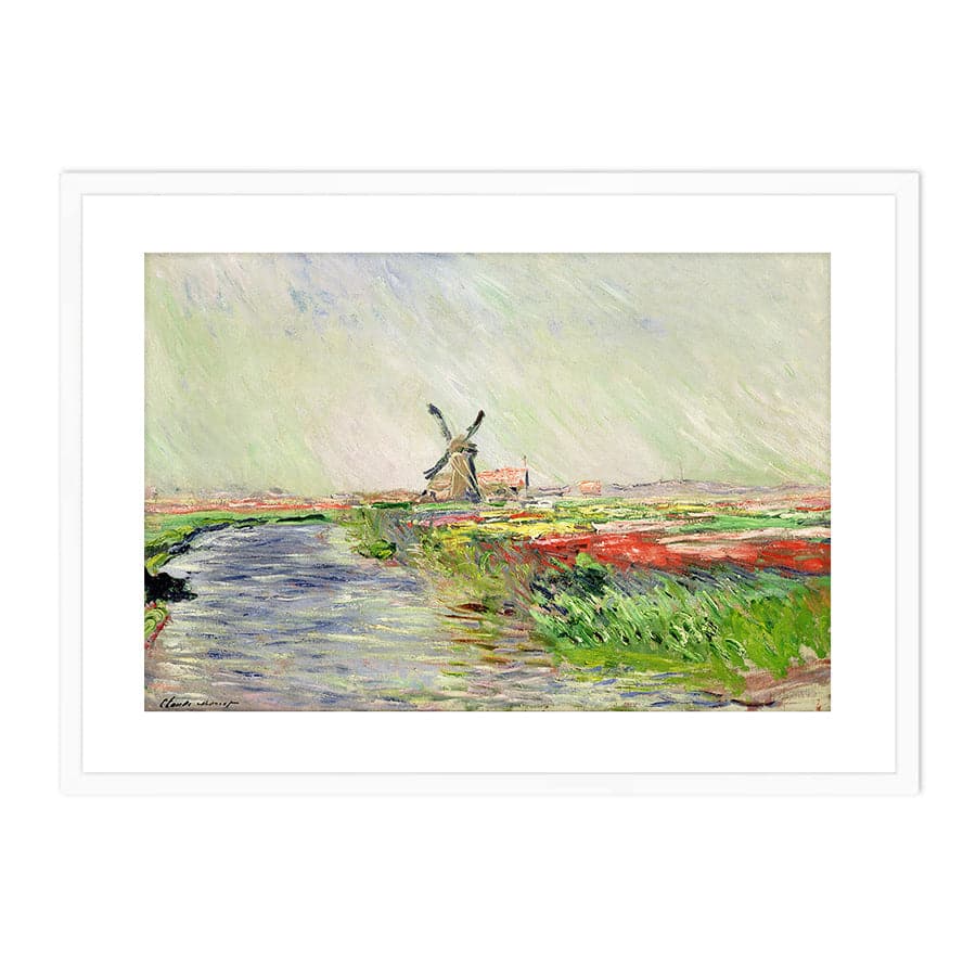 Tulip Field in Holland by Claude Monet