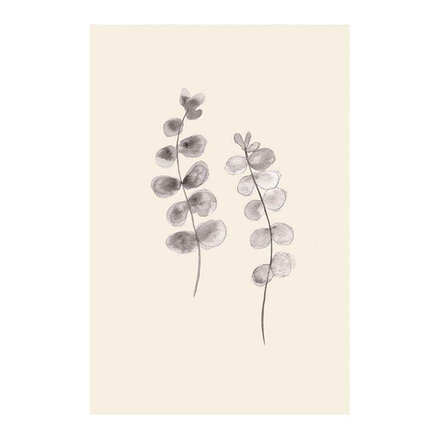 Eucalyptus Twigs by Studio Scandi I