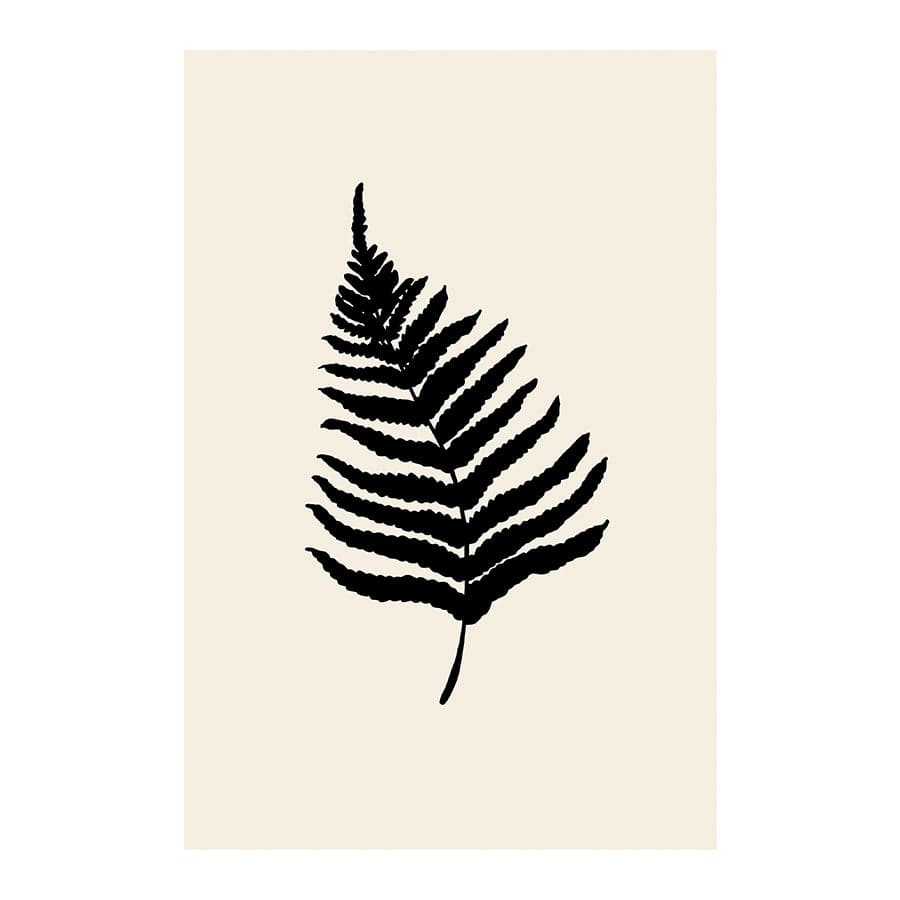 Fern by Studio Scandi I