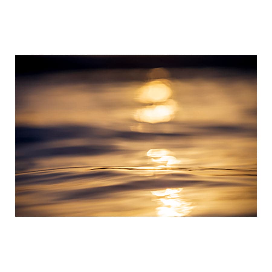First Light by Stuart McAndrew