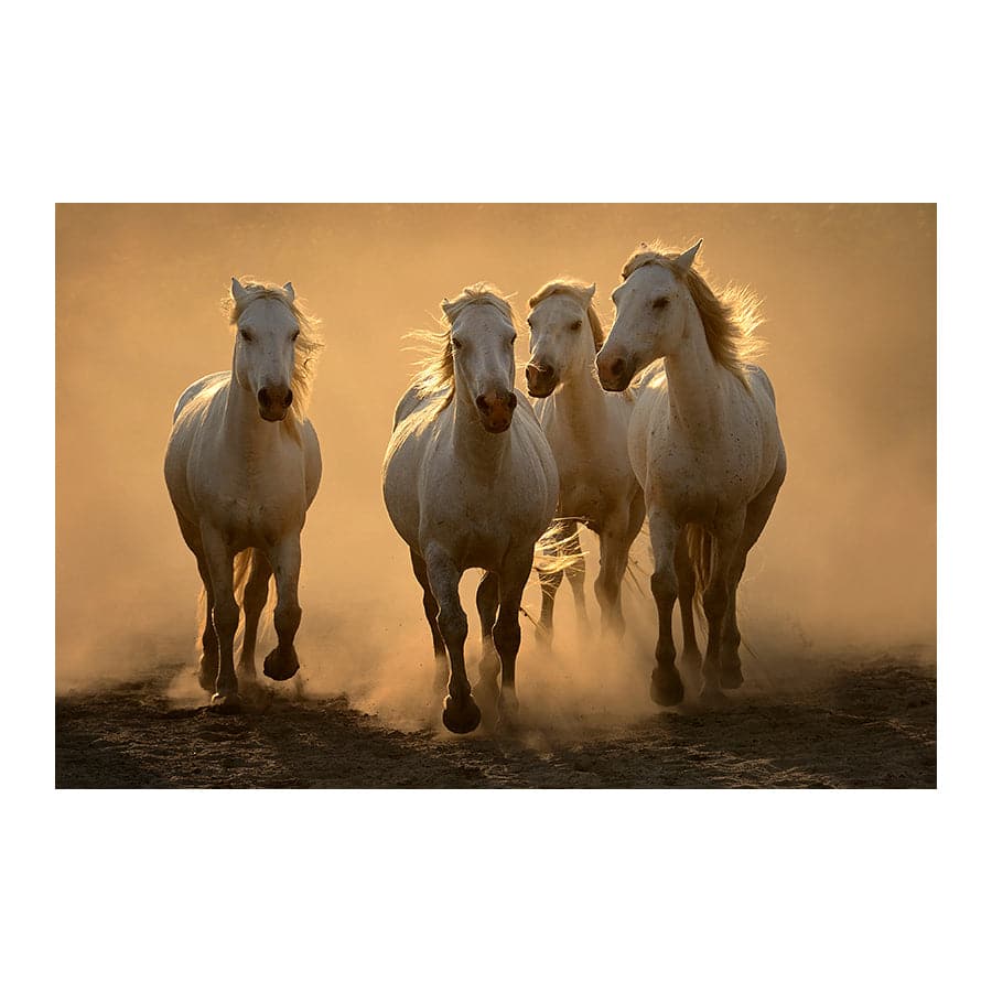 Quartet by Muriel Vekemans