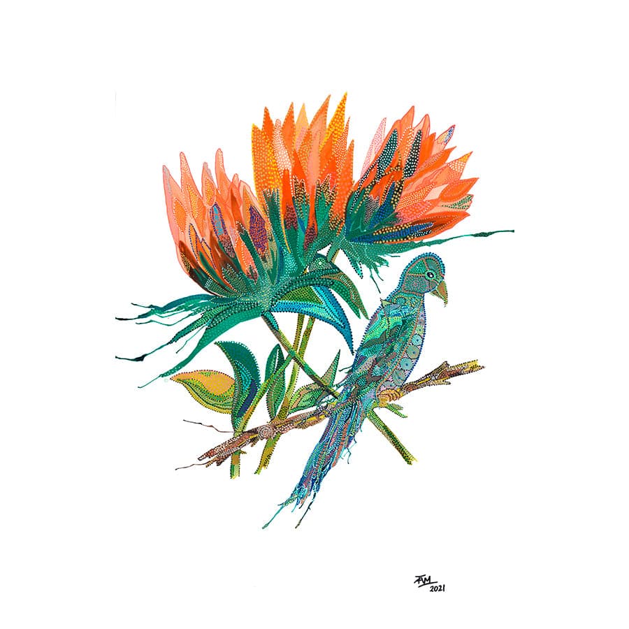 Wambina by Tracey Adele