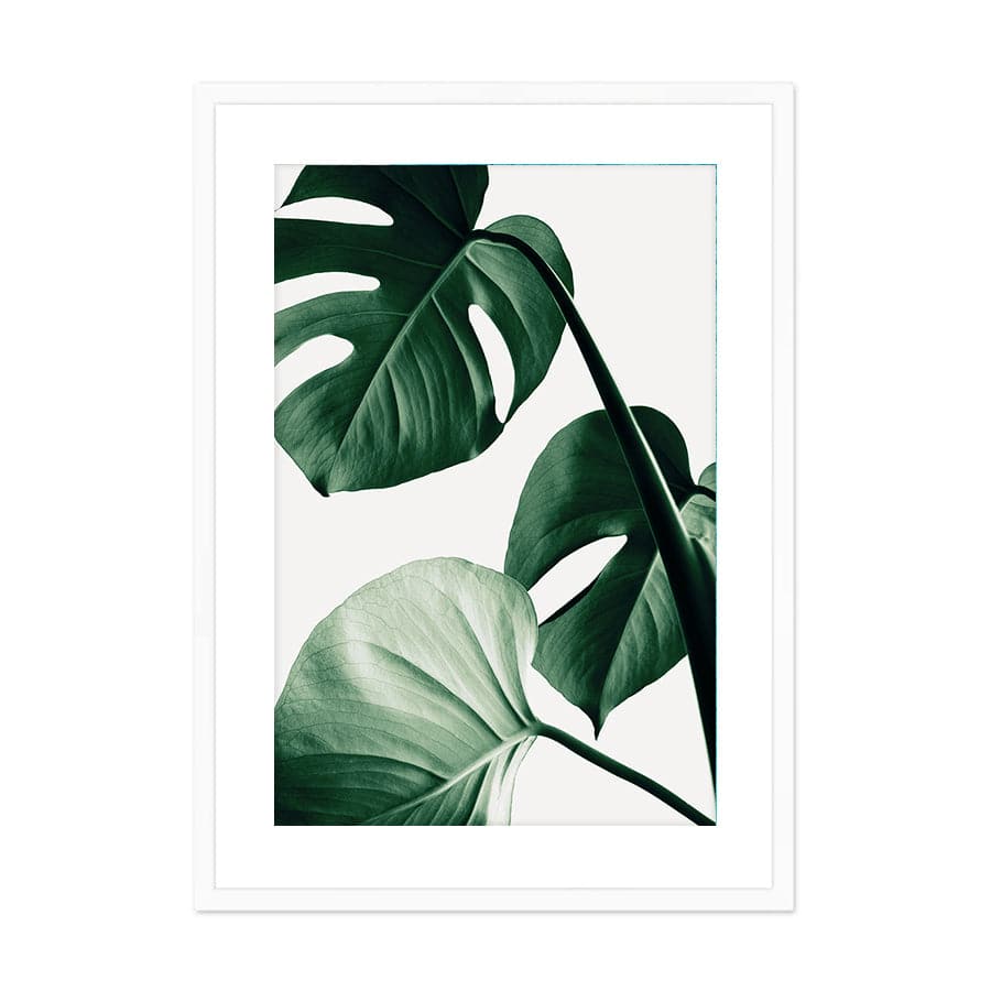 Monstera Natural 42 by Studio Scandi III