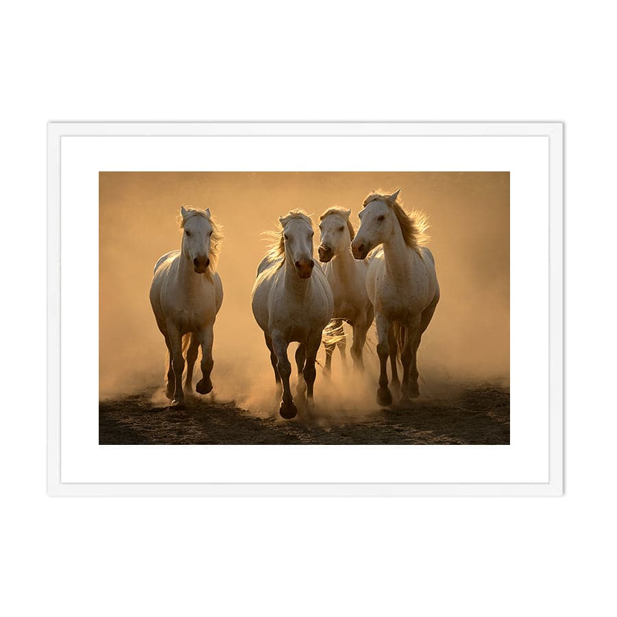 Quartet by Muriel Vekemans