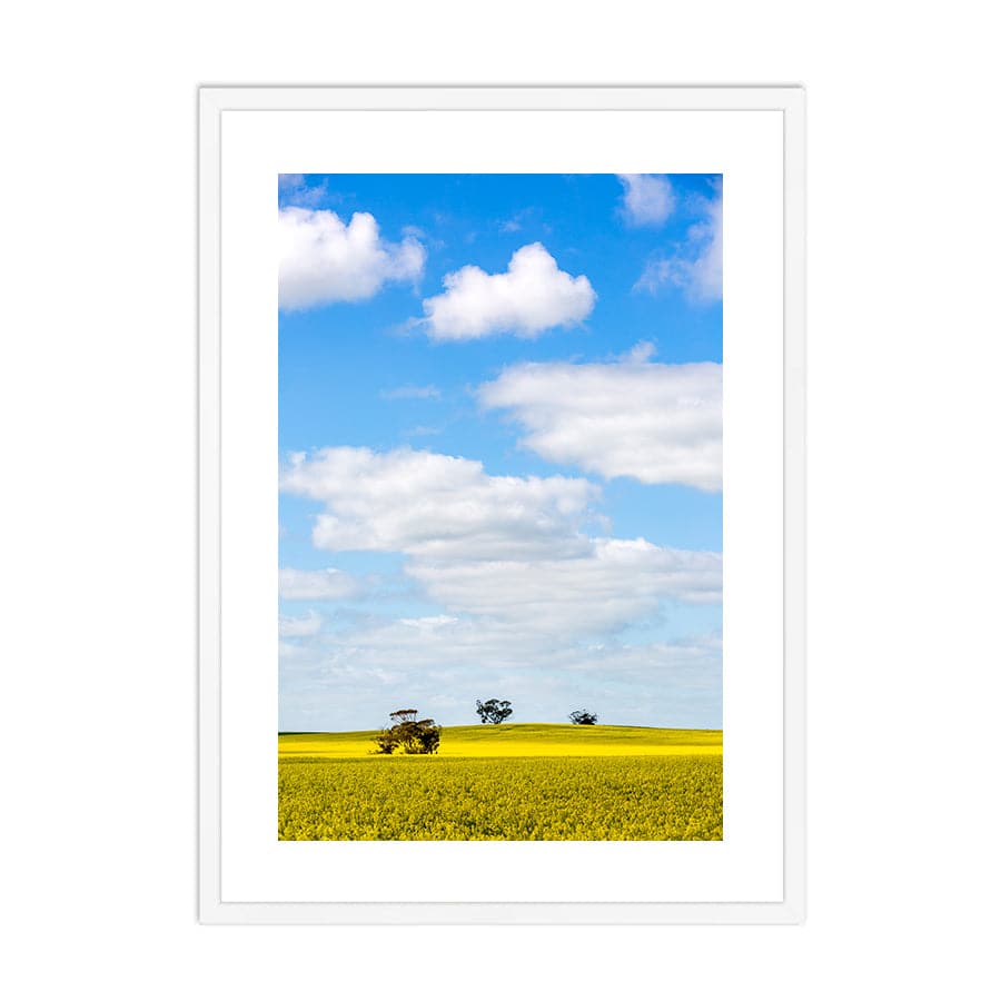 Golden Fields by Stuart McAndrew