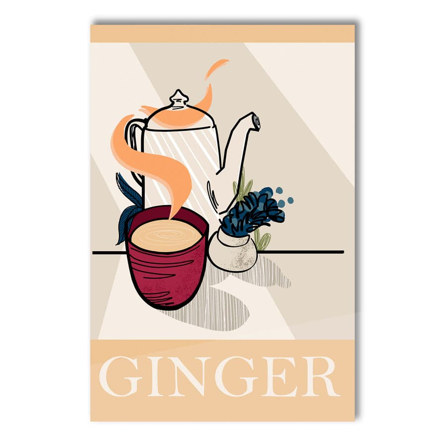 Ginger by Stephanie Davidson
