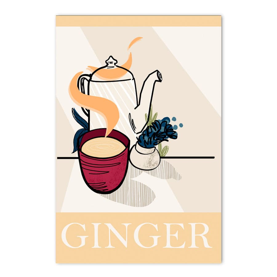 Ginger by Stephanie Davidson