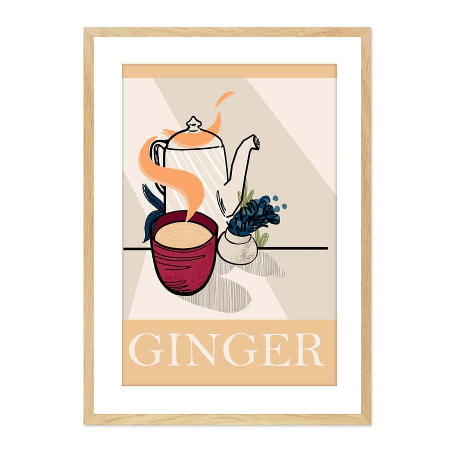 Ginger by Stephanie Davidson