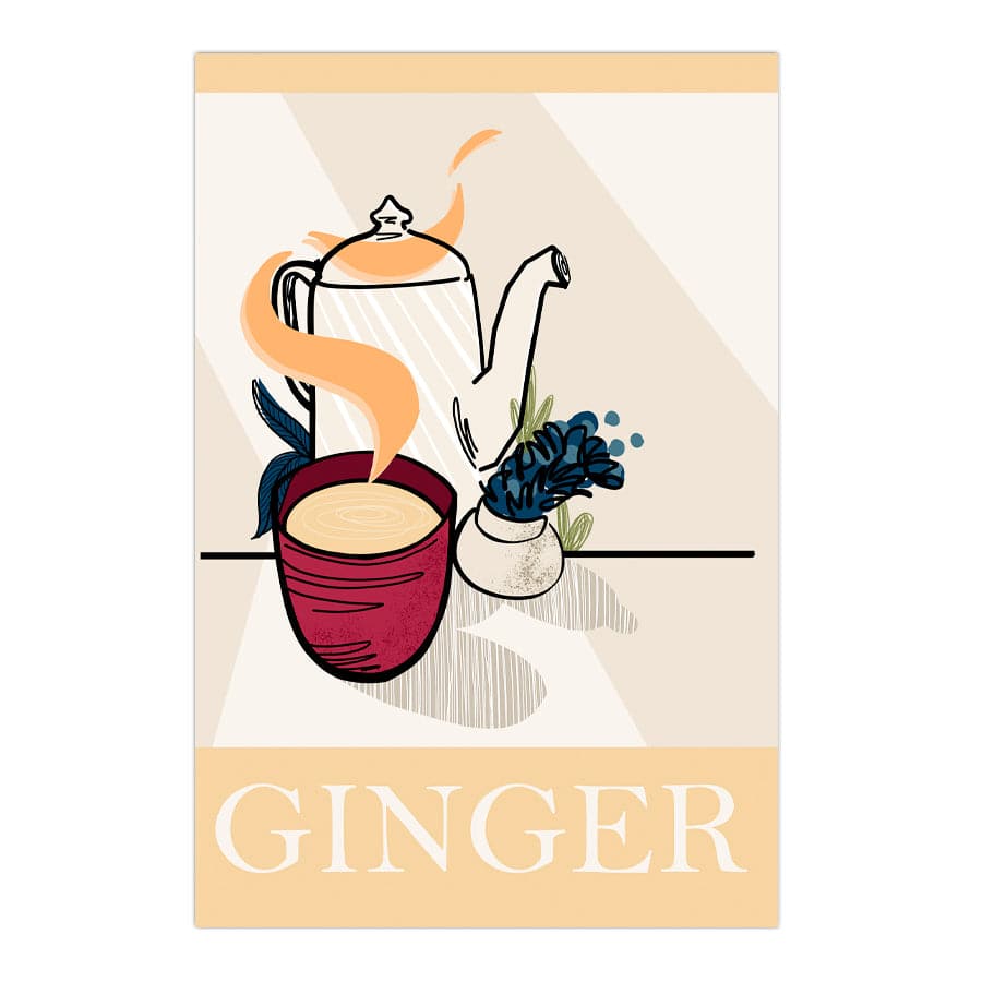 Ginger by Stephanie Davidson