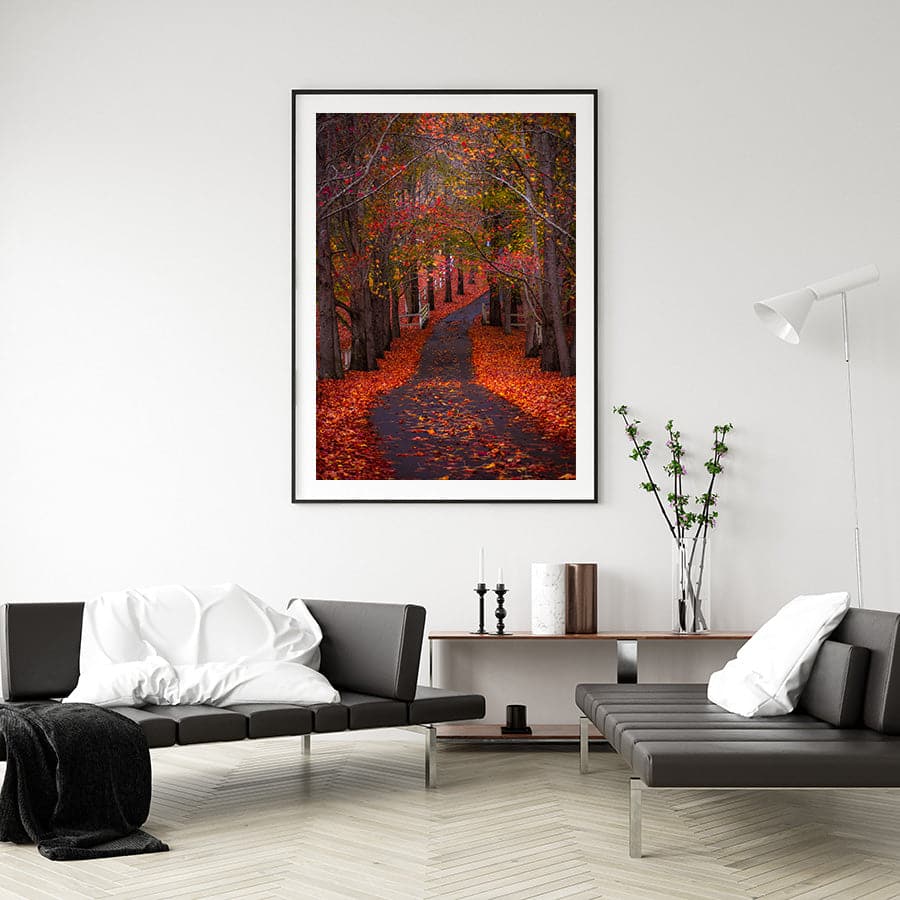 Autumn Path, Matcham by Colleen Kempys